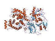 1df0：m-钙蛋白酶的晶体结构