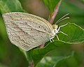 In Hyderabad, India