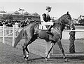 Randwick Racecourse 1940