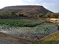 Pond of Alha and Udal near Maa Sharda temple Maihar