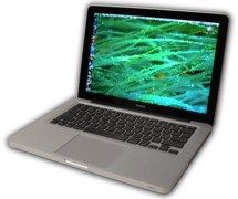 MacBook Aluminum Unibody, launched June 8, 2009