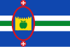 比利亚伦瓜旗幟