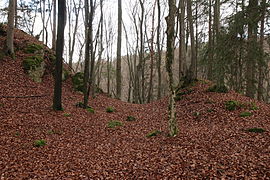 The clearest profile of the moat and the advance rampart in the northeast (November 2013)