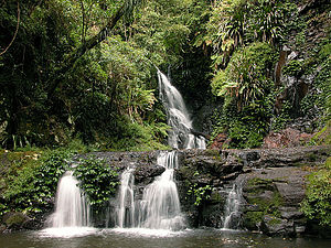 Elabana Falls, Lamington National Park.