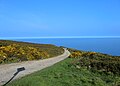 Walk on Howth Head