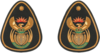 Senior Warrant Officer - Service Dress - Rank Insignia