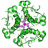 Computer-generated image of insulin hexamers