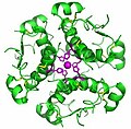 Computer-generated image of insulin hexamers