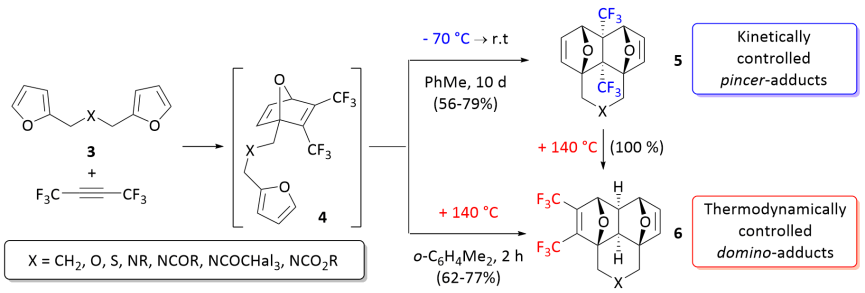 Kinetic and thermodynamic control of the tandem Diels–Alder reaction.