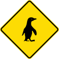 Watch for animals (penguins)