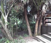 Part of the gardens at Umdoni Bird Sanctuary.