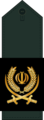 Islamic Revolutionary Guard Corps insignia