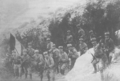 French Armenian Legion within French Army