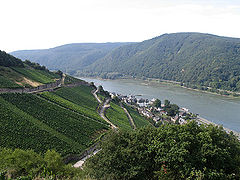 Rheingau