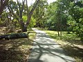 The Christie Creek Trail (Originally from Neoballmon)