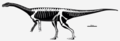 Guaibasaurus