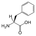 L-苯丙氨酸 (Phe / F)