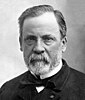 Louis Pasteur