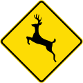 Watch for animals (deer)