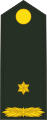 Majoor (Royal Netherlands Army)[61]