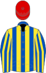 Royal blue and yellow stripes, red cap