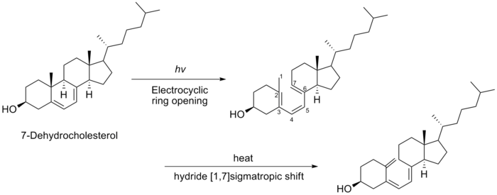 維生素D3生物合成