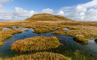 A peat bog below the top of Doune Hill, Luss Hills, Scotland
