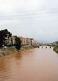 土耳其境内的奥龙特斯河