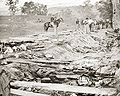 Confederate dead at Bloody Lane, looking northeast from the south bank. Alexander Gardner photograph.[99]