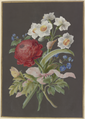 Blumengebinde mit roter Ranunkel (Ranunculus), weißer Tazette (Narcissus tazetta) und blauer Blume (?) mit Postillon