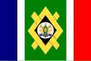 约翰内斯堡旗帜