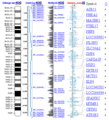 Genome_viewer_screenshot_small.png (19 times)
