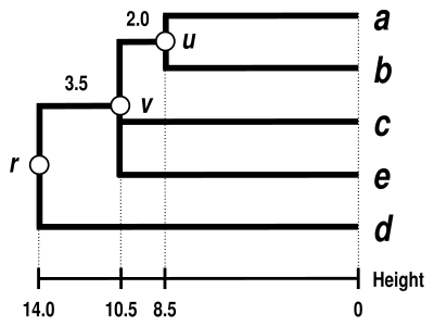 Single Linkage Dendrogram 5S data