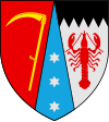 博托沙尼县的徽章