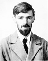 D.H. Lawrence, novelist