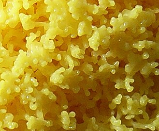 Close-up of the yellow plasmodium