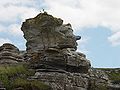 瑞典哥得兰岛Hoburgen岩（英语：Hoburgen）的“老人像”，由石灰石形成