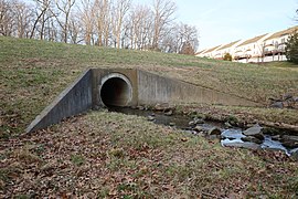 Morgan Lane Dam