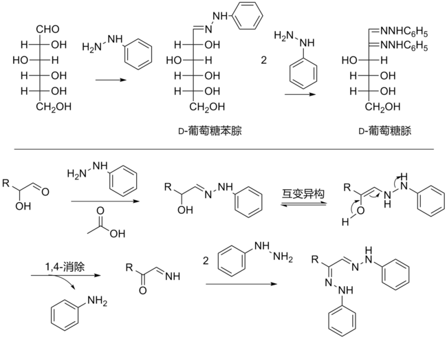 糖脎的合成以及反应机理