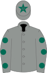 Grey, dark green spots on sleeves, grey cap, dark green star