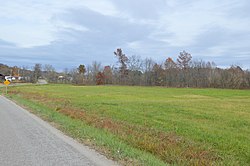 Fields on Salem Road, just south of Leatherwood Creek