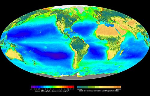 Global Biosphere