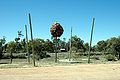 Roadside sculpture, Wentworth, NSW, Australia