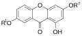 Xanthones present in Gentiana. Gentisin R1=H, R2=CH3; isogentisin R1=CH3, R2=H