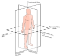 Anatomical Planes and axes.