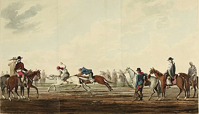 10. Horse race