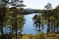 Lake Hamilton viewed from Garvan Woodland Gardens property