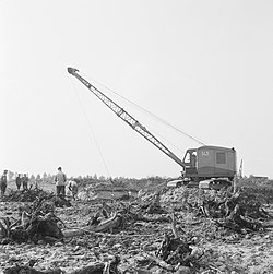 Cultivation of the land (1958)