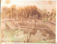 Palma Ceia springs original pool 1906