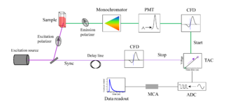 Schematic of a TCSPC setup